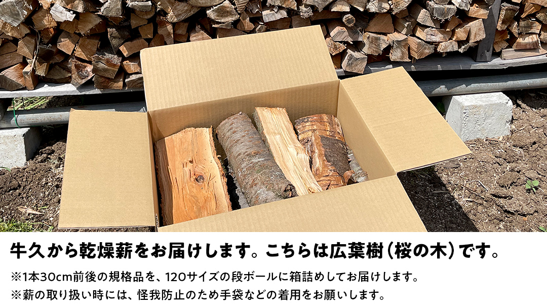 牛久市産 乾燥 薪 桜 ( さくら ) 約14kg～16kg 天然木 マキ 乾燥薪 広葉樹 キャンプ アウトドア 焚火 焚き火 薪ストーブ 暖炉 たき火 野外 屋外 バーベキュー薪 ピザ窯の薪 グリル焼