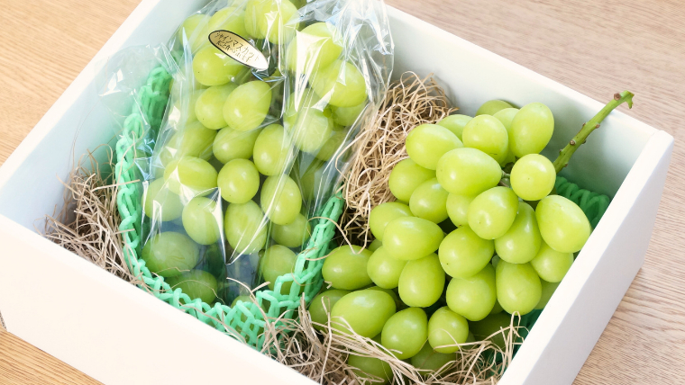 《 先行予約 》 シャインマスカット 2～3房 ( 約 1.5kg )  贈答用 【2026年8月下旬頃発送開始】 ( 共通返礼品：下妻市 )フルーツ 果物 マスカット ぶどう 葡萄 ブドウ 旬 国産 産地直送 化粧箱 ギフト