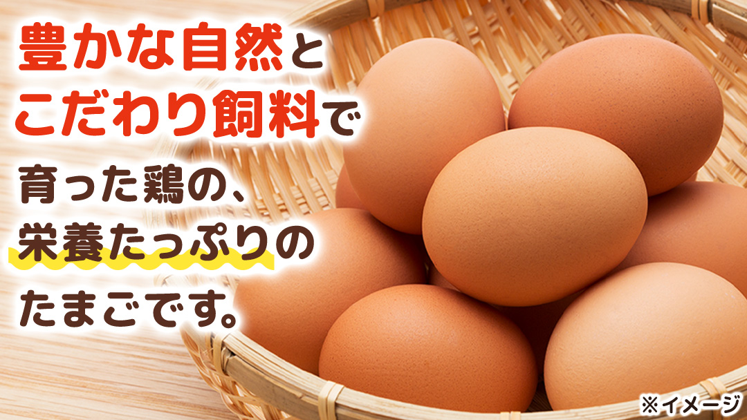 キトサン 健康 たまご 80個入 赤玉 卵 タマゴ 鶏卵 鶏 卵かけごはん ゆで卵 赤たまご 国産 茨城県 玉子