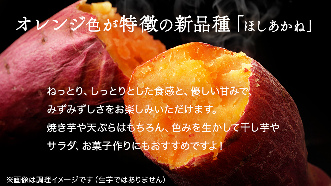 さつまいも 【 ほしあかね 】 5kg（ 箱込 ）サツマイモ さつま芋 芋 いも 野菜 焼き芋 スイーツ おやつ 国産