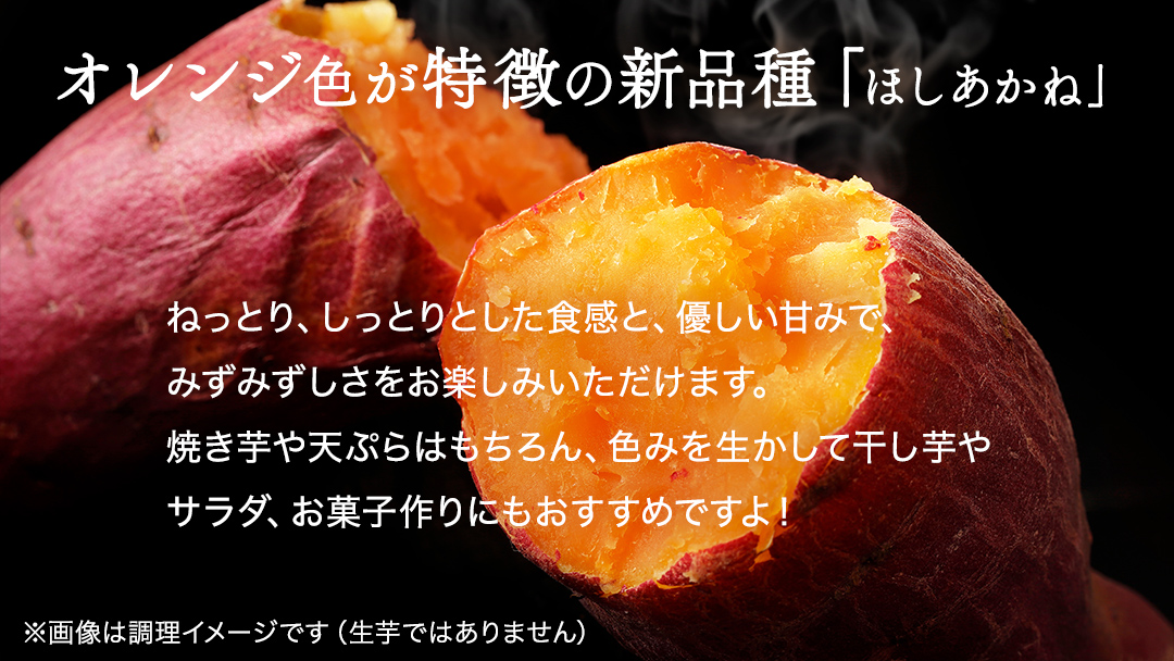 さつまいも 【 シルクスイート ・ ほしあかね 】 5kg ( 箱込 )の 2箱セット さつまいも 詰合せ 国産 農園 野菜 サツマイモ 芋 期間限定 デザート スイーツ おやつ 料理 味噌汁 煮物 生芋