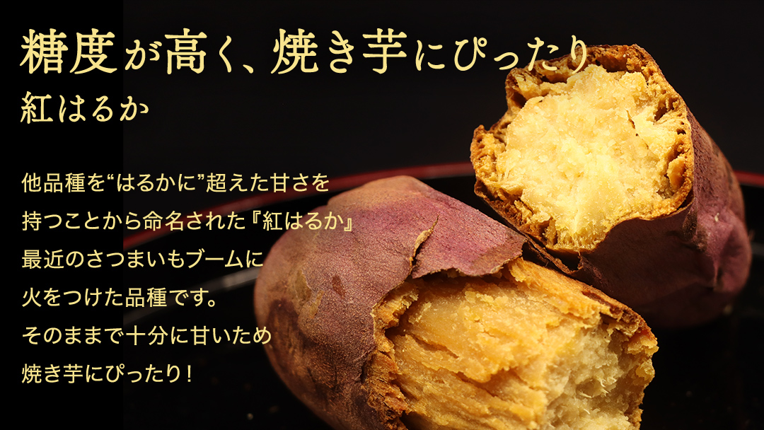 さつまいも 【 紅はるか ・ ふくむらさき 】 5kg ( 箱込 )の 2箱セット さつまいも 詰合せ 国産 農園 野菜 サツマイモ 芋 期間限定 デザート スイーツ おやつ 料理 味噌汁 煮物 生芋