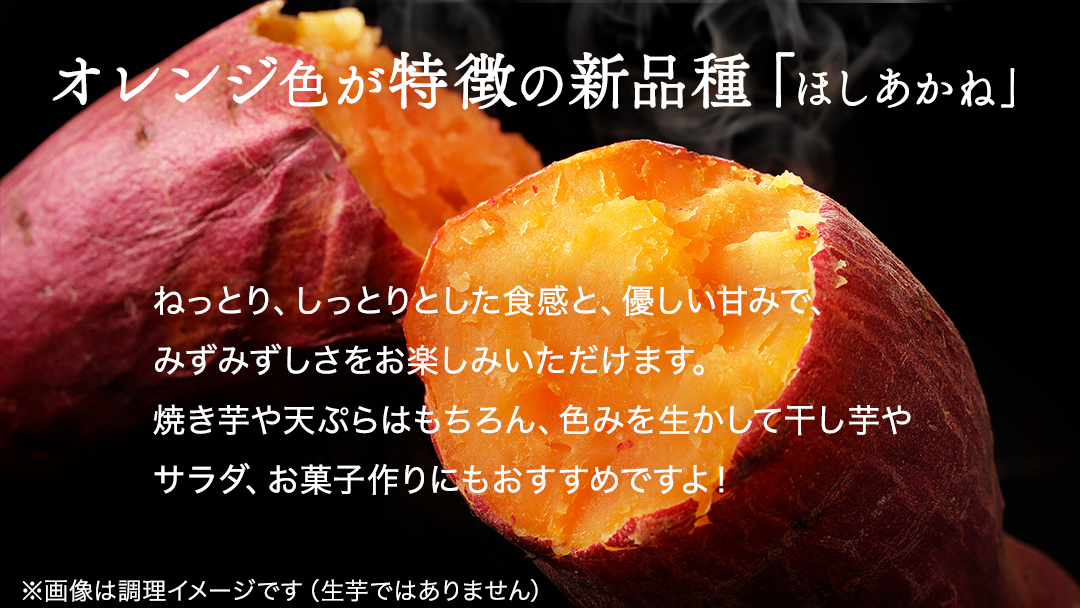 さつまいも 【 紅はるか ・ ほしあかね 】 5kg ( 箱込 )の 2箱セット サツマイモ さつま芋 芋 いも 野菜 焼き芋 スイーツ おやつ 国産