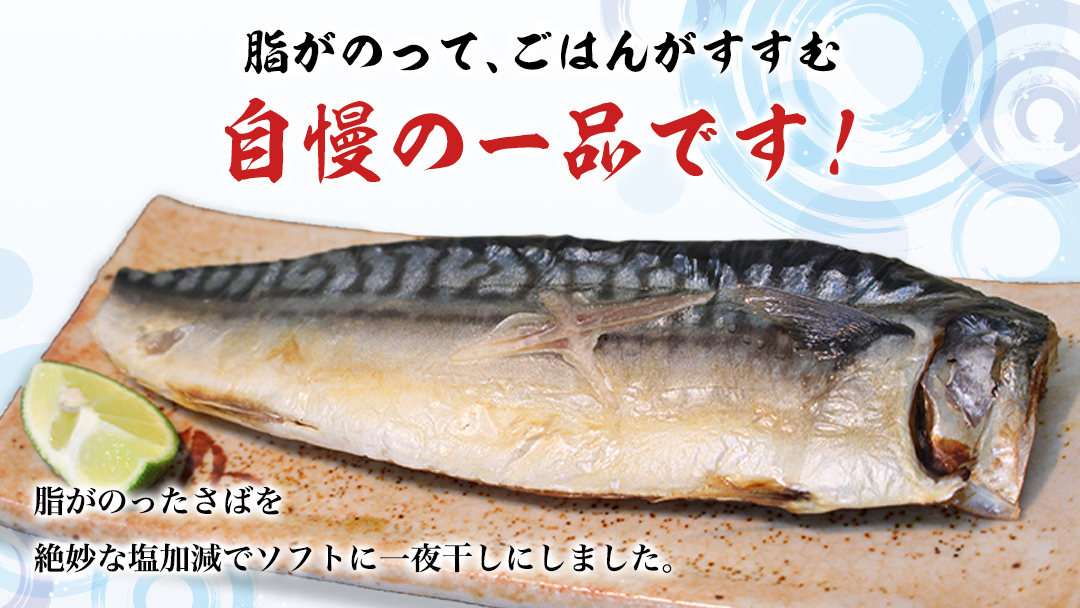 【 全3回 隔月 定期便 】 大トロ さば文化 干し 1枚真空 6パック ( 茨城県共通返礼品 :神栖市 ) 海鮮 鯖 切り身 切身 さば サバ 干物 真空パック 真空包装 化粧箱 冷凍 ノルウェーさば