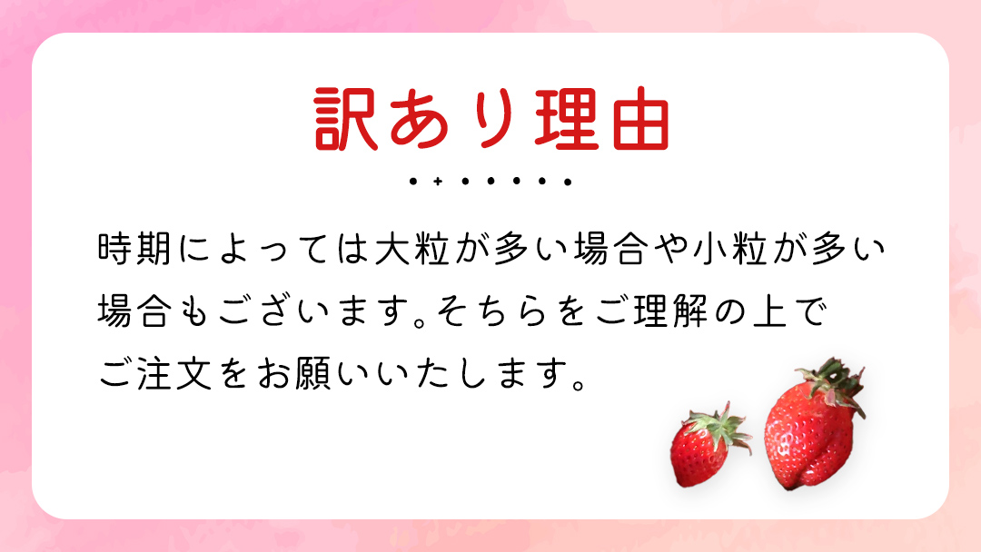 【 先行予約 】《 いばらキッス 》ちょっと訳あり イチゴ たっぷり800g バラ詰め 《 2026年2月以降発送 》（茨城県共通返礼品／常陸太田市） 訳あり いちご 苺 高糖度 甘い 加工用 生食用 ジャム 製菓用 朝採れ 新鮮 数量限定 期間限定