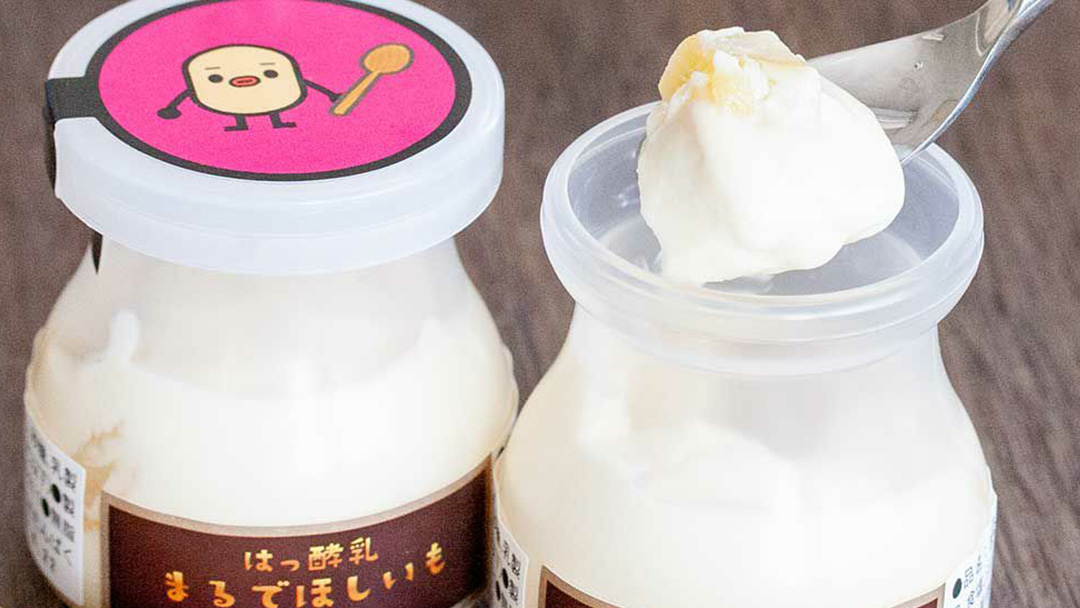 筑波ハム 『 まるでほしいも 』合計6個 ほしいもクン特製 化粧箱入り （100g×3個入り ×2箱） ( 茨城県共通返礼品 ) ヨーグルト 干し芋 干しいも ほし芋 紅はるか デザート お土産 手土産