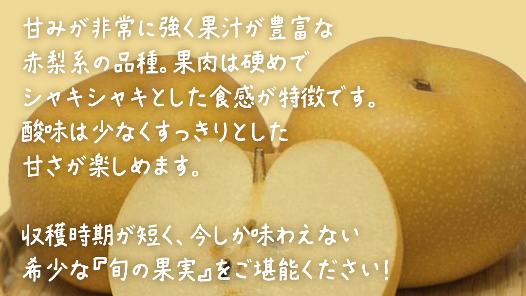 幸水 約10kg (20～24玉)【2026年8月上旬発送開始】(茨城県共通返礼品：大子町) 梨 なし 果物 くだもの フルーツ