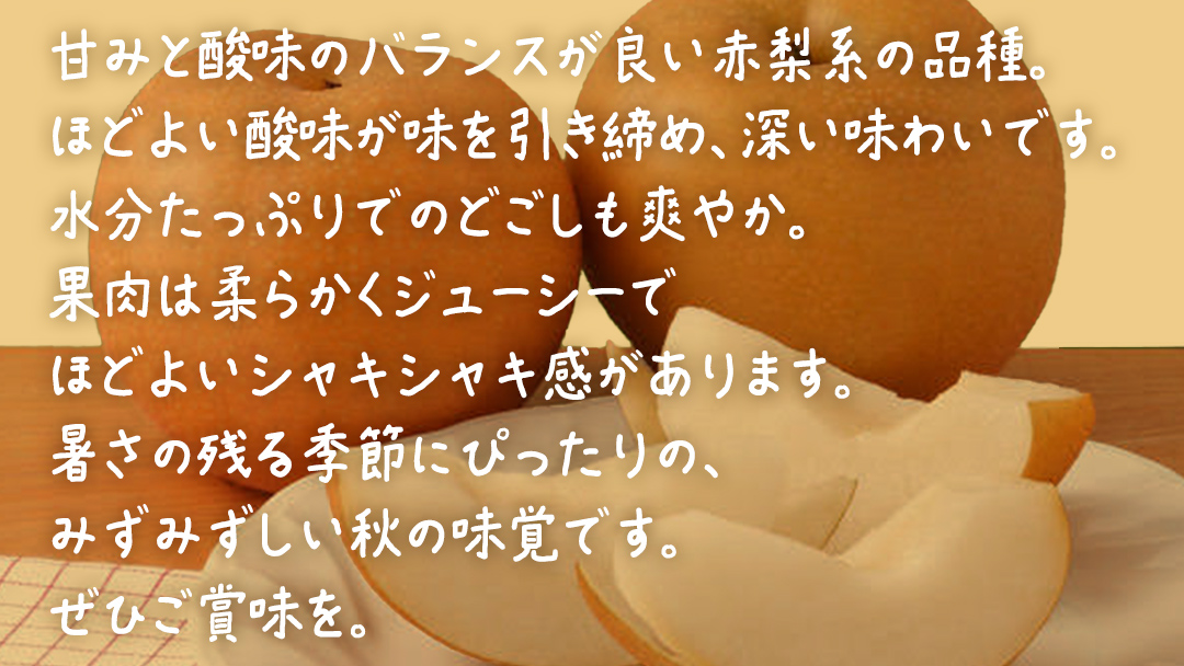 豊水 約10kg (16～28玉)【2026年9月上旬発送開始】(茨城県共通返礼品：大子町) 梨 なし 果物 くだもの フルーツ