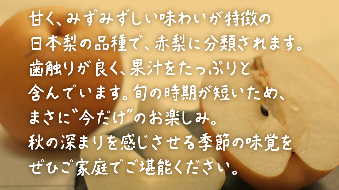 あきづき 約10kg（16～28個）【2026年9月上旬発送開始】(茨城県共通返礼品：大子町) 秋月 梨 なし 果物 くだもの フルーツ