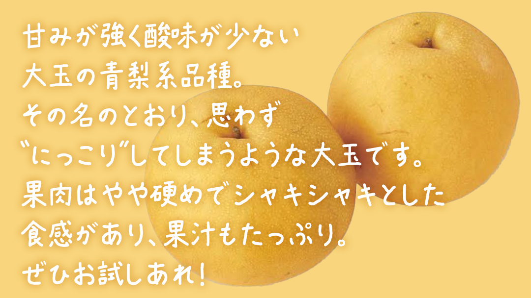 にっこり梨 約5kg (10～12玉)【2026年10月上旬発送開始】(茨城県共通返礼品：大子町) 梨 なし 果物 くだもの フルーツ にっこり