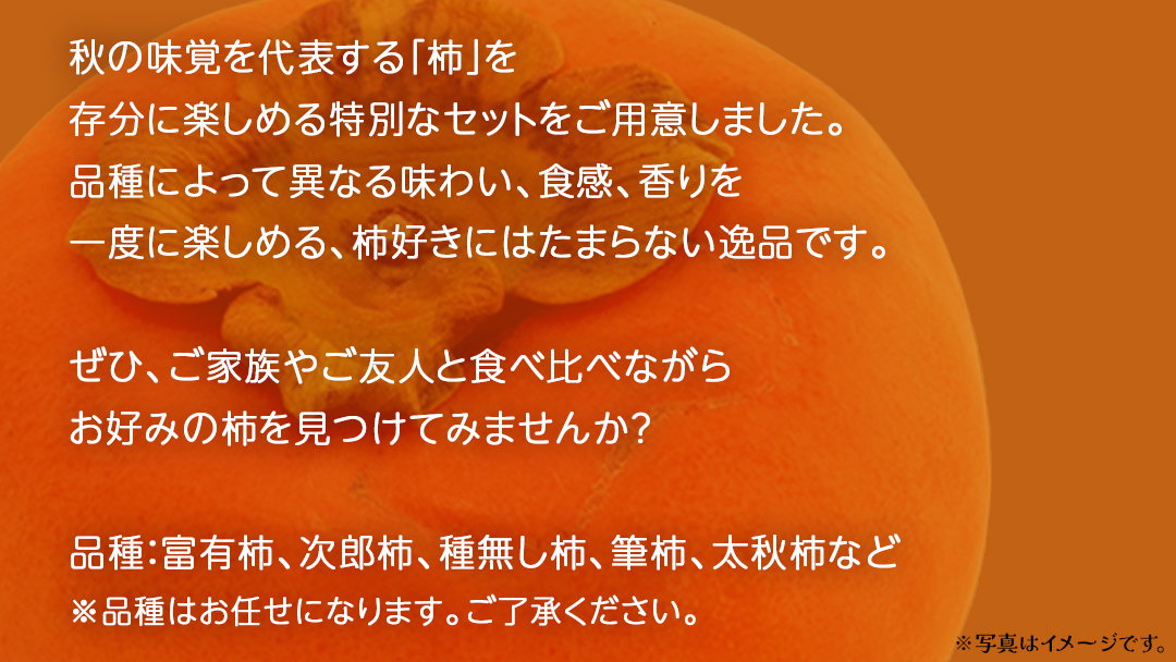 柿 食べ比べ 2品種×10個【2026年10月上旬発送開始】(茨城県共通返礼品：大子町) 富有柿 次郎柿 種無し柿 筆柿 太秋柿 果物 フルーツ 旬 季節限定 期間限定
