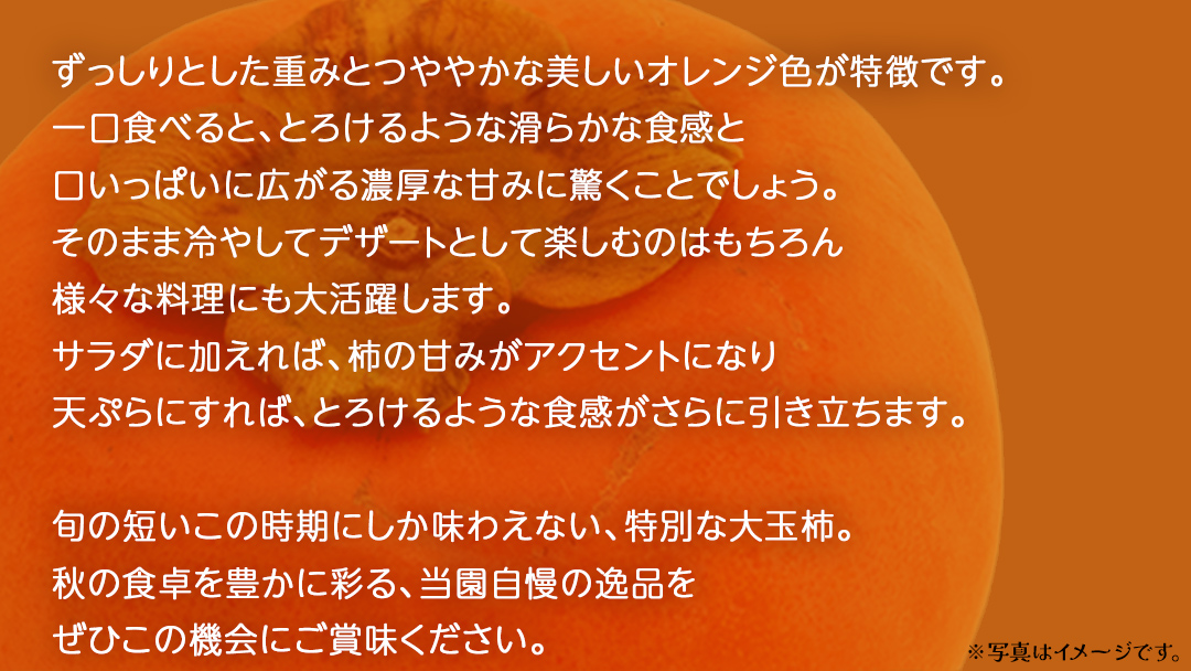 旬な大玉 柿 約3kg 10～14個 【2025年10月上旬発送開始】(茨城県共通返礼品：大子町)	柿 かき カキ 果物 フルーツ 旬 季節限定 期間限定