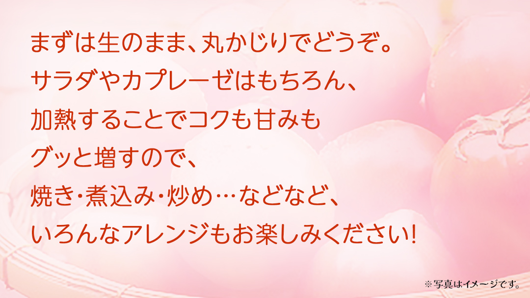 トマト 約3.5kg (16～24個)【2026年3月上旬発送開始】(茨城県共通返礼品：大子町) とまと 野菜 やさい