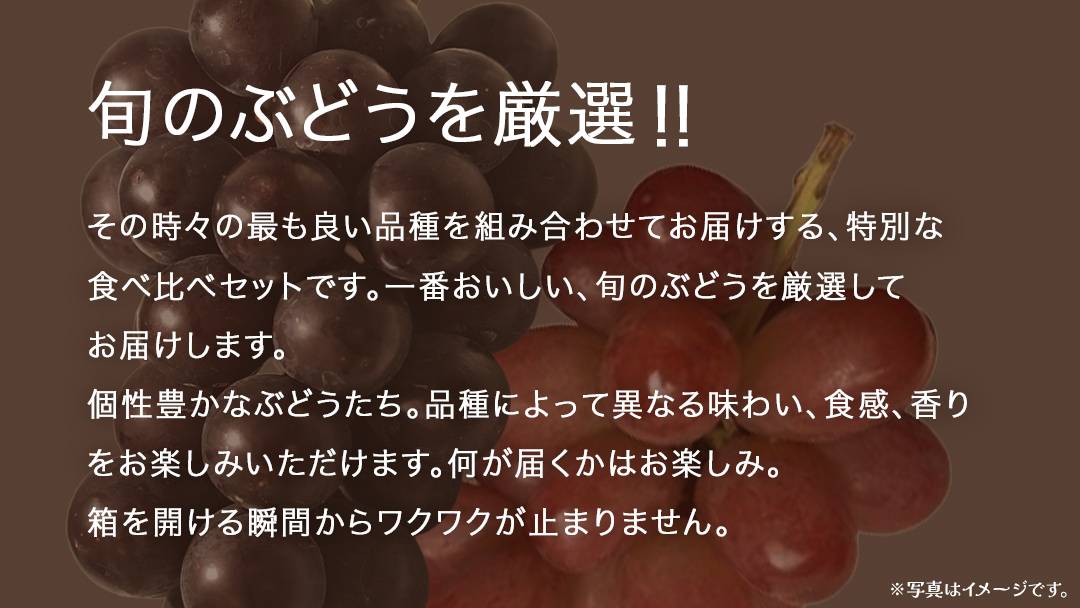 旬な ぶどう 食べ比べ 700g × ２房【2026年8月上旬発送開始】(茨城県共通返礼品：大子町) ぶどう 葡萄 フルーツ 果物 おまかせ お楽しみ