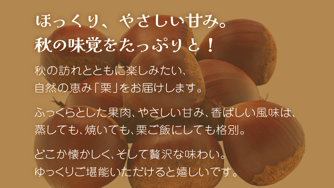 秋の味覚「 栗 」3kg 【2026年9月上旬発送開始】(茨城県共通返礼品：大子町) くり マロン 果物 スイーツ モンブラン 栗きんとん 生栗 焼き栗 甘栗