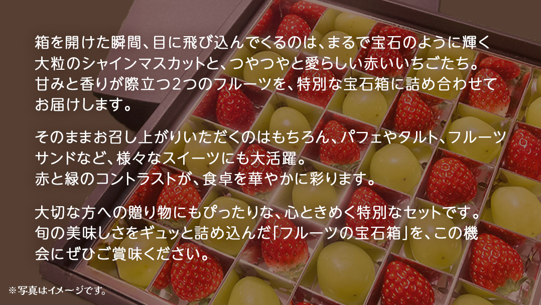 【 お歳暮 熨斗付き 】 赤いちご と シャインマスカット の宝石箱 18粒【2025年12月上旬発送開始】(茨城県共通返礼品：大子町) いちご マスカット 果物 フルーツ 旬 季節限定 期間限定 贈答用 ギフト 贈り物