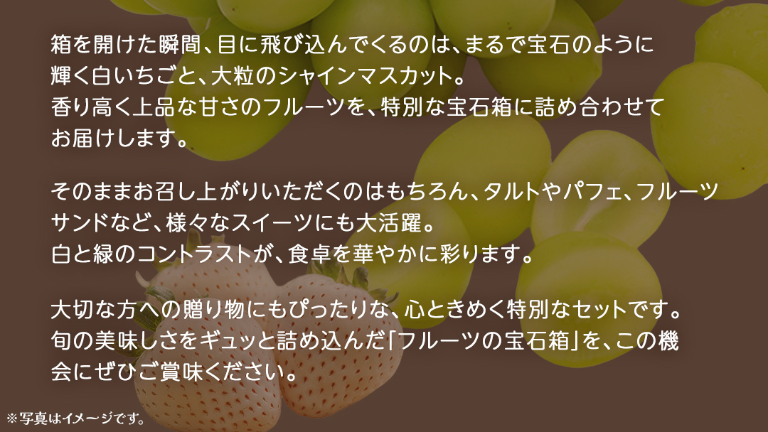 【 お歳暮 熨斗付き 】 白いちご と シャインマスカット の宝石箱 18粒【2025年12月上旬発送開始】(茨城県共通返礼品：大子町) いちご マスカット 果物 フルーツ 旬 季節限定 期間限定 贈答用 ギフト 贈り物