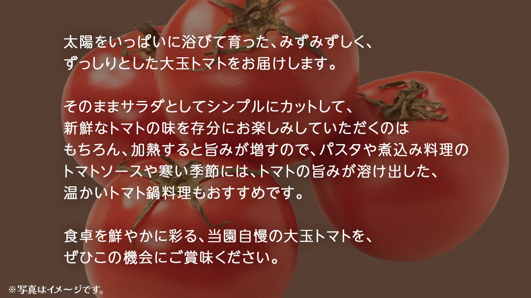 大玉 トマト 6kg (茨城県共通返礼品：大子町) 野菜 フルーツ 旬 季節限定 期間限定