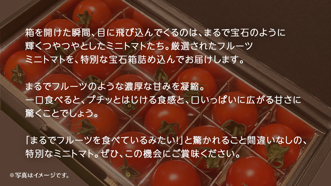 フルーツ ミニトマト の宝石箱 18粒 (茨城県共通返礼品：大子町) 野菜 フルーツ 旬 季節限定 期間限定