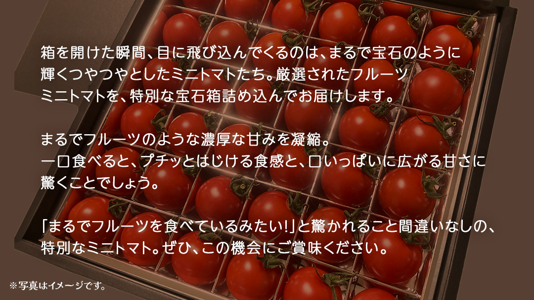 フルーツ ミニトマト の宝石箱 36粒 (茨城県共通返礼品：大子町) 野菜 フルーツ 旬 季節限定 期間限定