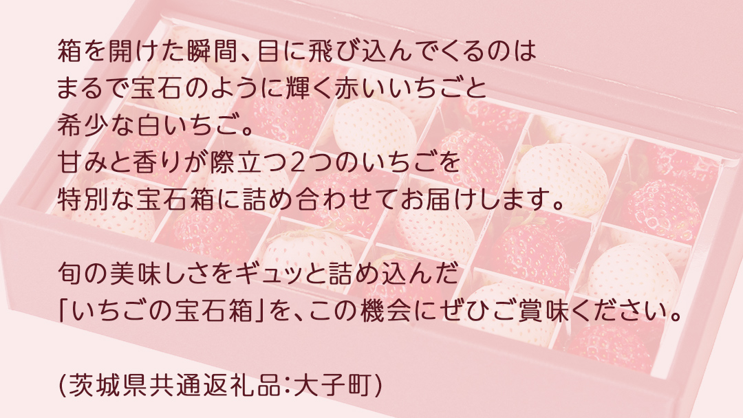赤いちご と 白いちご の宝石箱18粒【2025年12月上旬発送開始】(茨城県共通返礼品：大子町)	いちご 苺 果物 フルーツ 果実