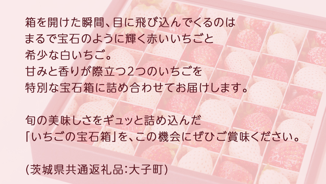赤いちご と 白いちご の宝石箱36粒【2025年12月上旬発送開始】(茨城県共通返礼品：大子町)　いちご 苺 果物 フルーツ 果実