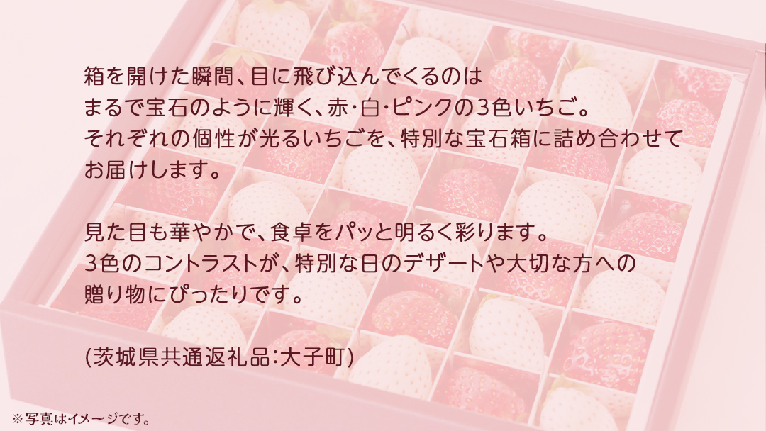 3色いちご の宝石箱18粒【2025年12月上旬発送開始】(茨城県共通返礼品：大子町) いちご 苺 果物 フルーツ 果実