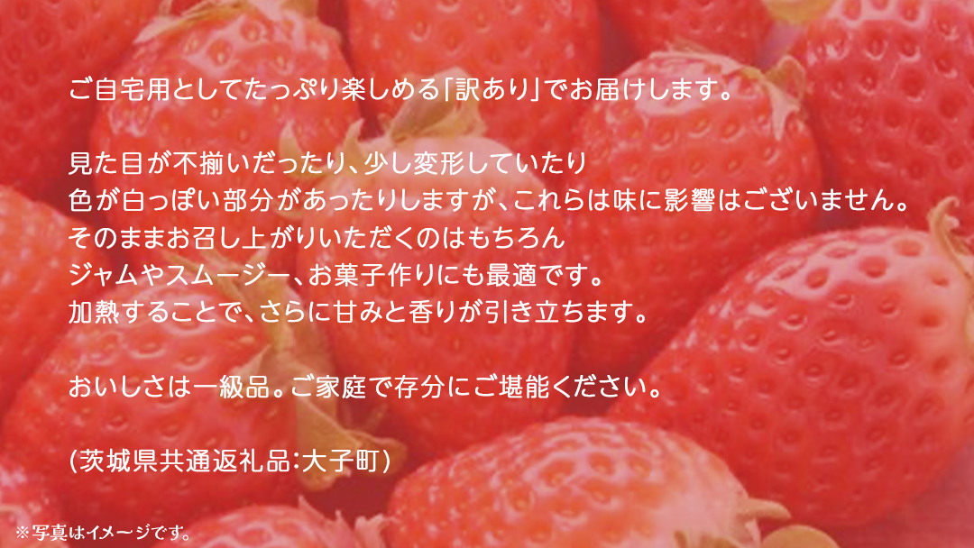 訳あり いちご 2kg【2025年12月上旬発送開始】(茨城県共通返礼品：大子町) 苺 果物 フルーツ 果実 ご家庭用