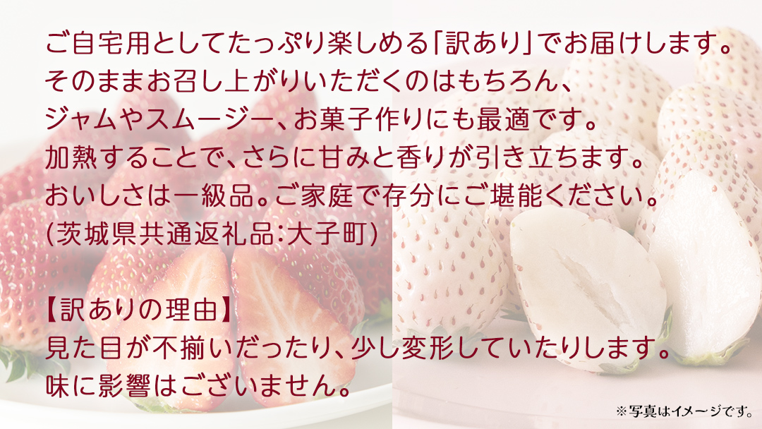 訳あり 紅白いちご 1kg【2026年3月発送開始】(茨城県共通返礼品：大子町) 苺 果物 フルーツ 果実 ご家庭用