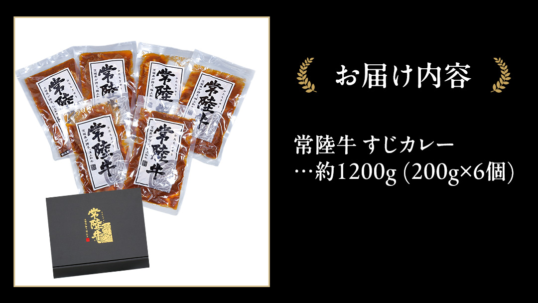 常陸牛 すじカレー 200g ×6 【茨城県共通返礼品】 カレー 牛すじ お肉 牛肉 簡単 冷凍 レトルト