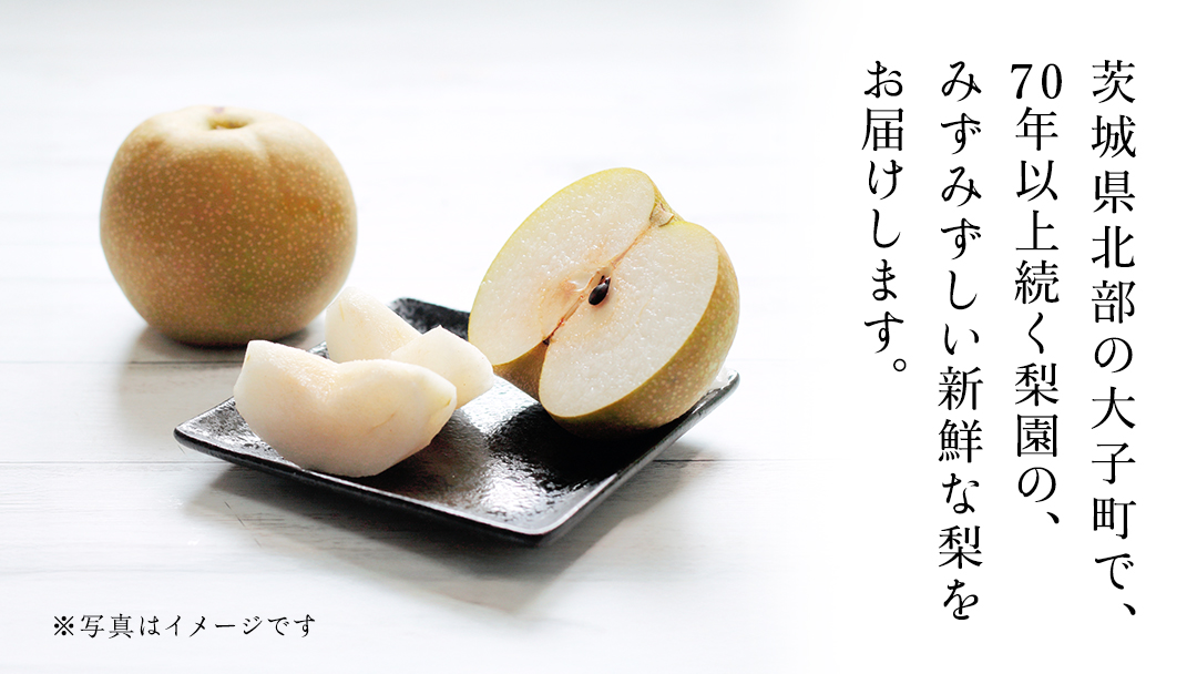 茨城県産 梨 幸水 サイズ おまかせ （2L～ 4L ） 5kg（ 12～16玉 ）【2026年8月中旬発送開始】 (茨城県共通返礼品：大子町) 梨 なし ナシ 果物 くだもの 季節 フルーツ デザート 旬果