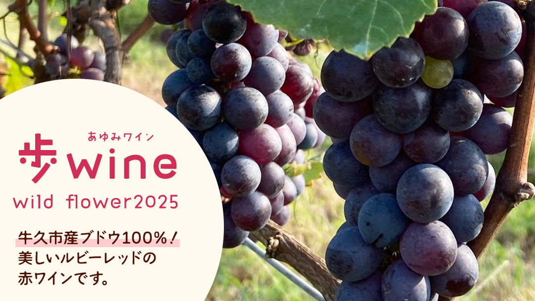 歩wine wild flower2025 ( 750ml ) 日本ワイン 牛久市 ブドウ 自然派ワイン 無濾過 ファーストヴィンテージ マスカット・ベーリーA ビジュノワール メルロー バルベーラ ワイン 酒 赤ワイン わいん