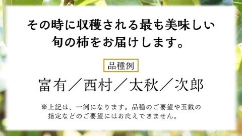 品種おまかせ 柿 約 3kg（ 茨城県共通返礼品：かすみがうら市 ） フルーツ かき カキ 果物 旬 新鮮 期間限定 甘い 国産
