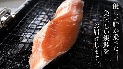 厚切り 銀鮭 の 切り身 【 半尾 】約 1kg （ 8切 ～ 10切 ） 鮭 切身 半身 厳選 甘塩 さけ サケ しゃけ シャケ 冷凍 真空 時短 弁当 おつまみ 魚 魚介