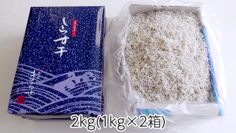 大津港水揚げ しらす干し 2kg ( 1kg × 2箱 ) （茨城県共通返礼品：北茨城市）しらす しらす丼 国内 北茨城市 水揚げ 新鮮 シラス 海鮮 冷凍 子ども カルシウム 減塩