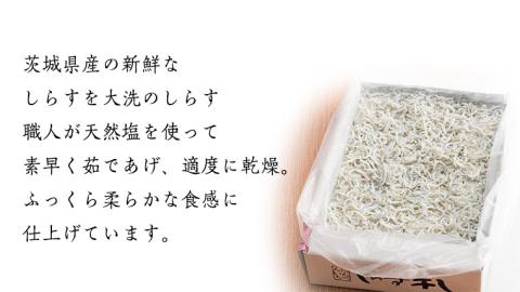 茨城県産 しらす干し 1kg ( 共通返礼品：茨城県 大洗町 ) シラス干し しらす シラス 業務用 冷凍 魚介 海鮮 しらす丼 離乳食 箱