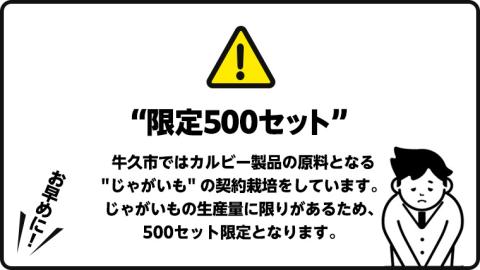 カルビー 堅あげポテト うすしお味 24袋 ( 2ケース ) 65g ポテチ お菓子 おかし 大量 スナック おつまみ ジャガイモ じゃがいも まとめ買い 数量限定