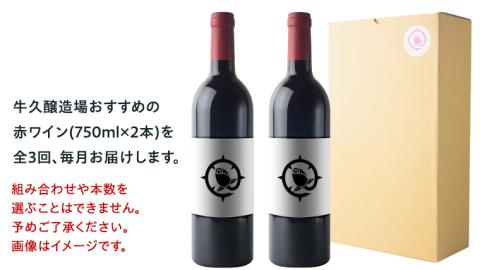 【 3ヶ月連続 】 赤ワイン おまかせ 定期便 2本セット 飲み比べ 茨城県産 牛久醸造場 厳選 750ml × 2本 お酒 ワイン ワイン好き 初心者 上級者 贈り物 ギフト 詰め合わせ