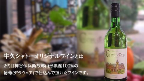【 牛久市 堪能コース 】 うなぎ プリン付 3000円分 焼肉割烹 ふみや 食事券 × 1枚 体験 利用券 料理 デザート スイーツ 食前酒 食中酒 茨城県 牛久シャトー ワイン 葡萄 デラウェア