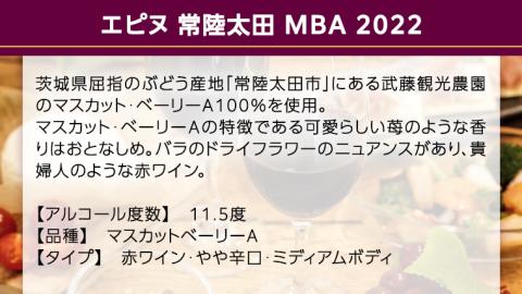 【 数量限定 】「 エピヌ 」 常陸太田 MBA 2022 茨城県産 牛久醸造場 日本ワイン 赤ワイン マスカット・ベーリー 750ml × 1本 やや辛口 ミディアムボディ お酒 贈り物
