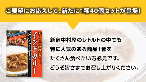 新宿 中村屋 インドカリー スパイシーチキン 40個 人気 洋食 レトルト 時短 カレー インドカレー スパイシーカレー 長期保存 災害用 保存食 レンチン レンジ