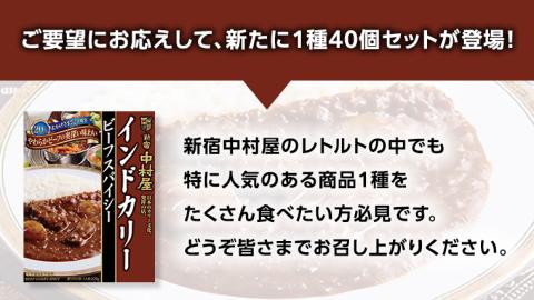 新宿 中村屋 インドカリー ビーフスパイシー 40個 人気 洋食 レトルト 時短 カレー インドカレー スパイシーカレー 長期保存 災害用 保存食 レンチン レンジ