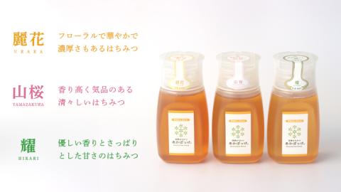 【 数量限定 】山桜 はちみつ と春の 田舎はちみつ の 3種 ギフト セット [ B3山桜 280g ]（ 茨城県共通返礼品： 五霞町 ） 生ハチミツ 蜂蜜 非加熱 茨城県産 国産 天然 純粋