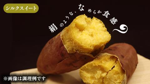 さつまいも 【 シルクスイート 】 5kg ( 箱込 ) サツマイモ さつま芋 芋 いも 野菜 焼き芋 スイーツ おやつ 国産