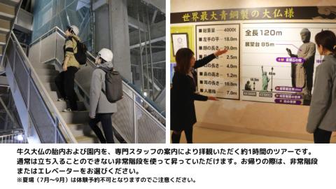 《 案内付き 》 非常階段で登る 牛久大仏 胎内 拝観 ツアー ※ 平日限定 ※ （ 5名様まで ） 貸切 体験 参加券 体験チケット 観光