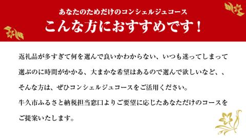 あなただけの プレミアム コンシェルジュ コース ( 100万円 ) 特別 オーダーメイド サービス