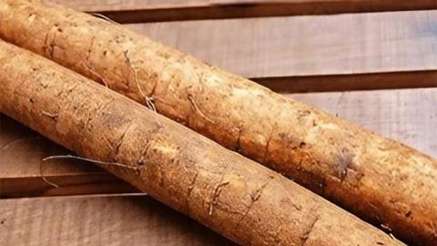 あじかん 焙煎 ごぼう茶 プレミアムブレンドごぼうのおかげ（2g×30包入り）×1袋 お茶 牛蒡茶 ティーバッグ 健康茶 ノンカフェイン イヌリン クロロゲン酸 お取り寄せ お土産 贈り物 ギフト