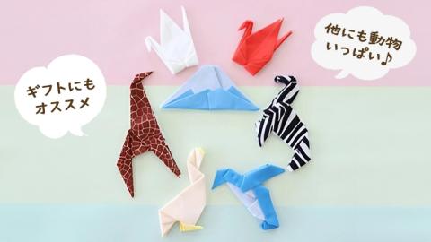 プッチペット ペンギン メガネ拭き クリーナー クリーニングクロス レンズクリーナー 液晶 めがね拭き アニマル 動物 グッズ プチギフト プレゼント 贈り物 お祝い