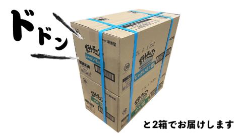 湖池屋 ポテトチップス 2種類アソート （のり塩・じゃがいもと塩）（各12袋・計24袋）　ポテチ お菓子 おかし 大量 スナック おつまみ ジャガイモ じゃがいも まとめ買い スナック菓子 数量限定