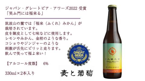 2年連続！《 ジャパン・グレートビア・アワーズ 受賞 》クラフトビール3種 計 6本セット 飲み比べ 茨城県産 牛久醸造場 330ml × 6本 ビール 地ビール クラフト お酒 贈り物